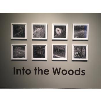 Tom Uttech: Into the Woods, exhibition at the Museum of Wisconsin Art, Oct. 12, 2019 - Jan. 12, 2020