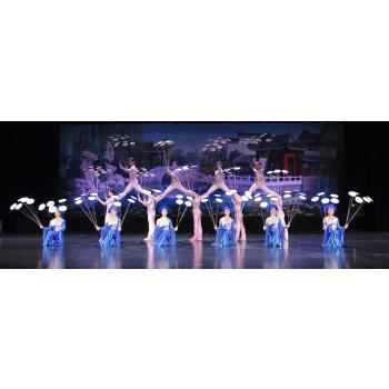 The New Shanghai Circus