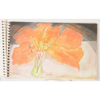 Image from John N. Colt's Sketchbook "March, Puerto Vallarta"