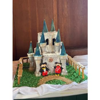 Cinderella's Castle by the TeBeest Family